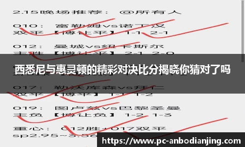 西悉尼与惠灵顿的精彩对决比分揭晓你猜对了吗